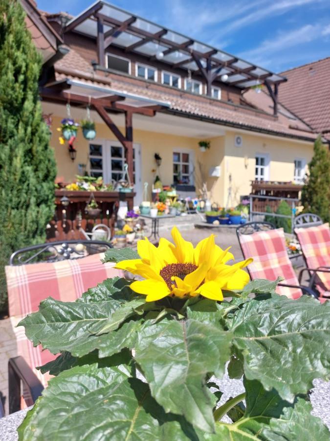 Hotel Zum Poppschen Gut Olbernhau Ngoại thất bức ảnh